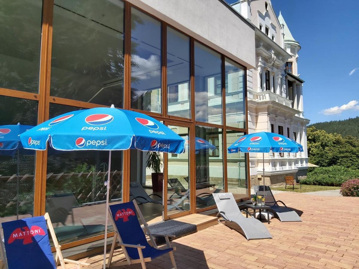 Hotel U Zamecku Cihelny 卡罗维发利 外观 照片