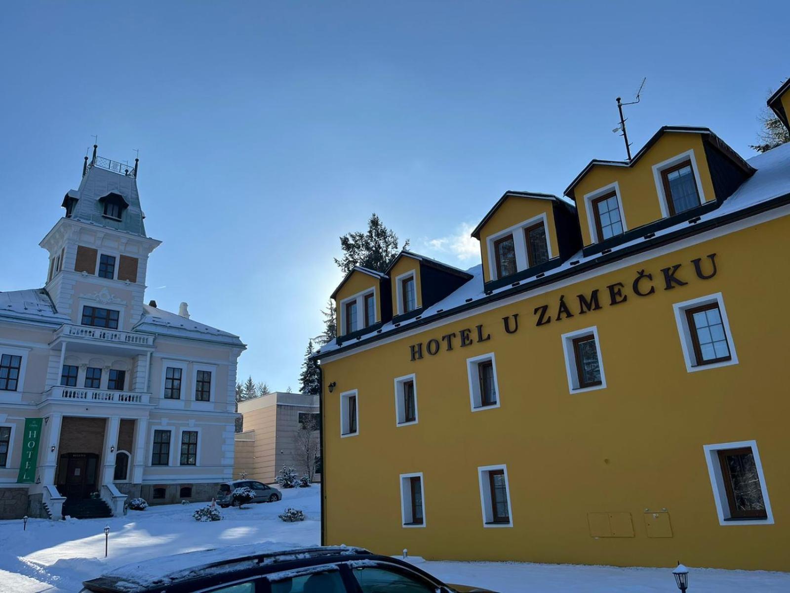 Hotel U Zamecku Cihelny 卡罗维发利 外观 照片
